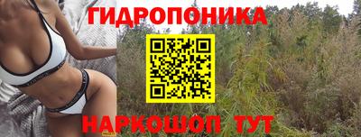 бошки Вязьма